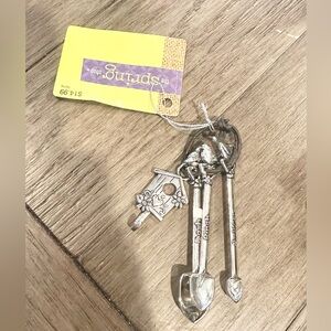 The Spring Shop Measuring Spoons